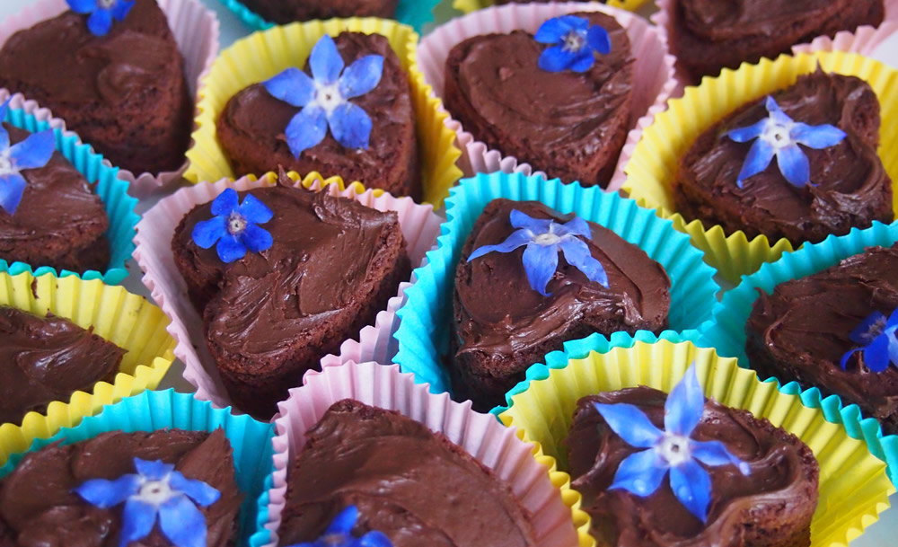 Edible borage flowers on chocolate brownies