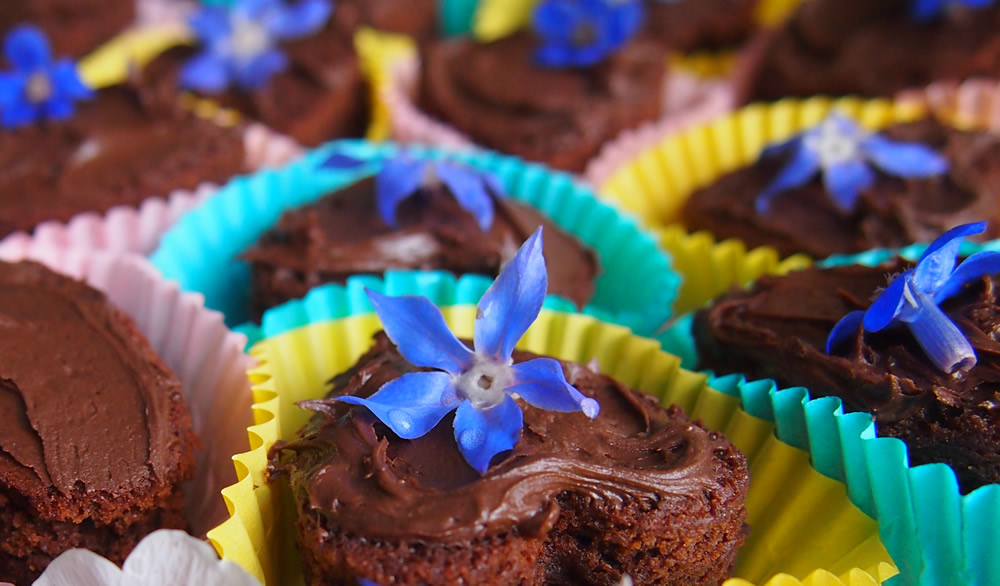 Borage chocolate brownies