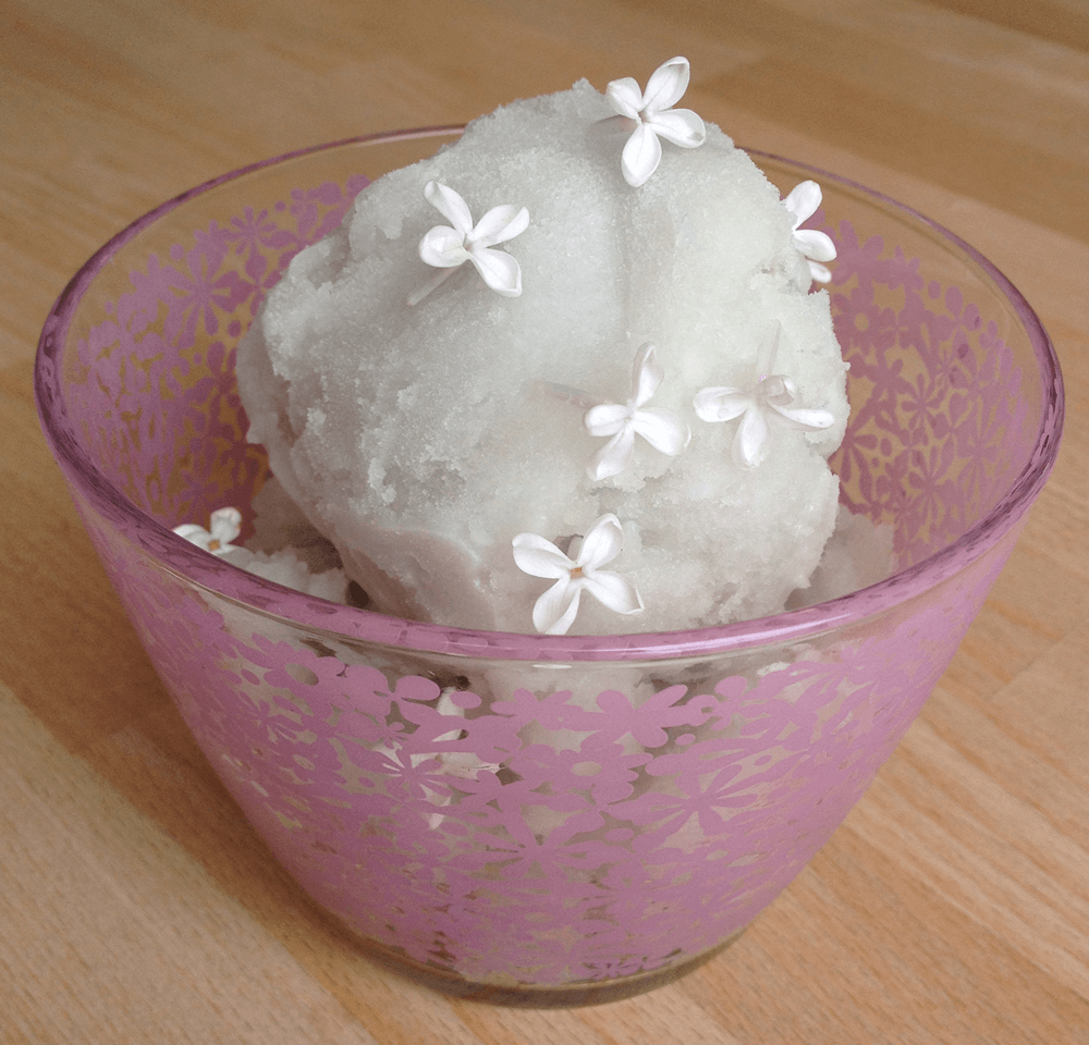 Edible flower lilac sorbet