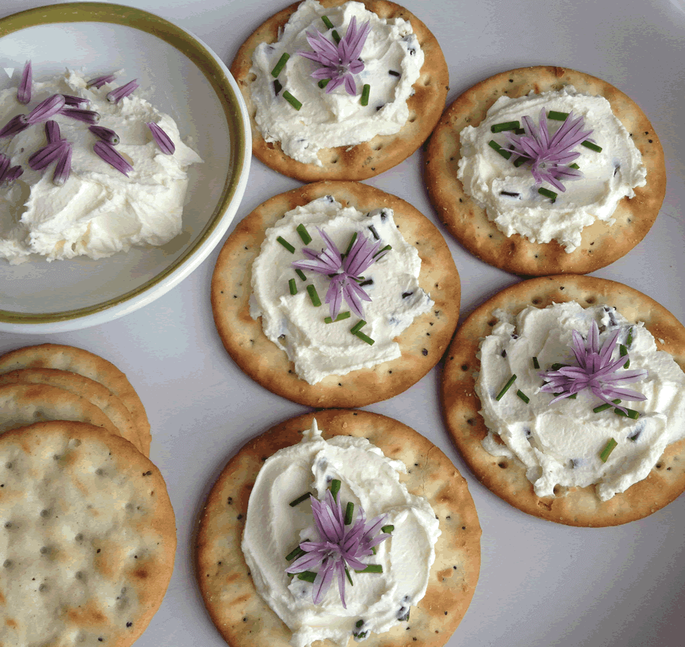 Edible chive flowers and cream cheese