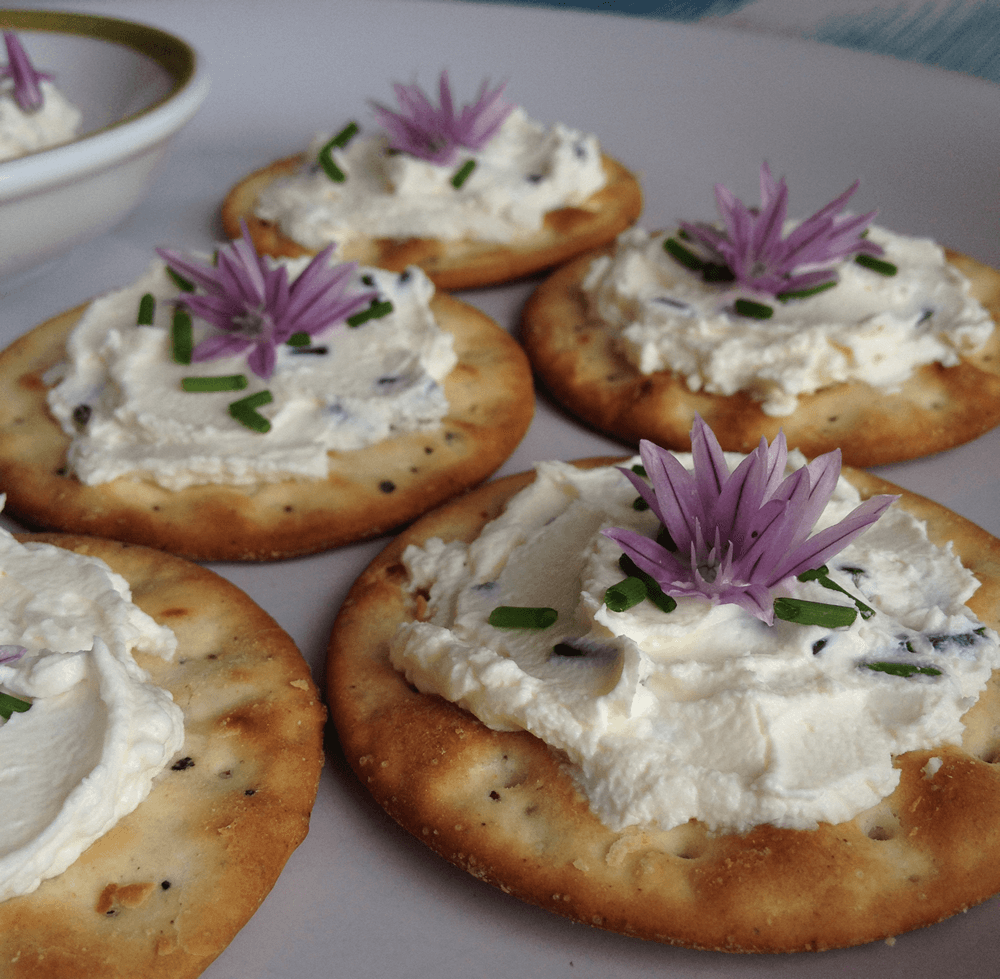 Cream cheese and chive flowers