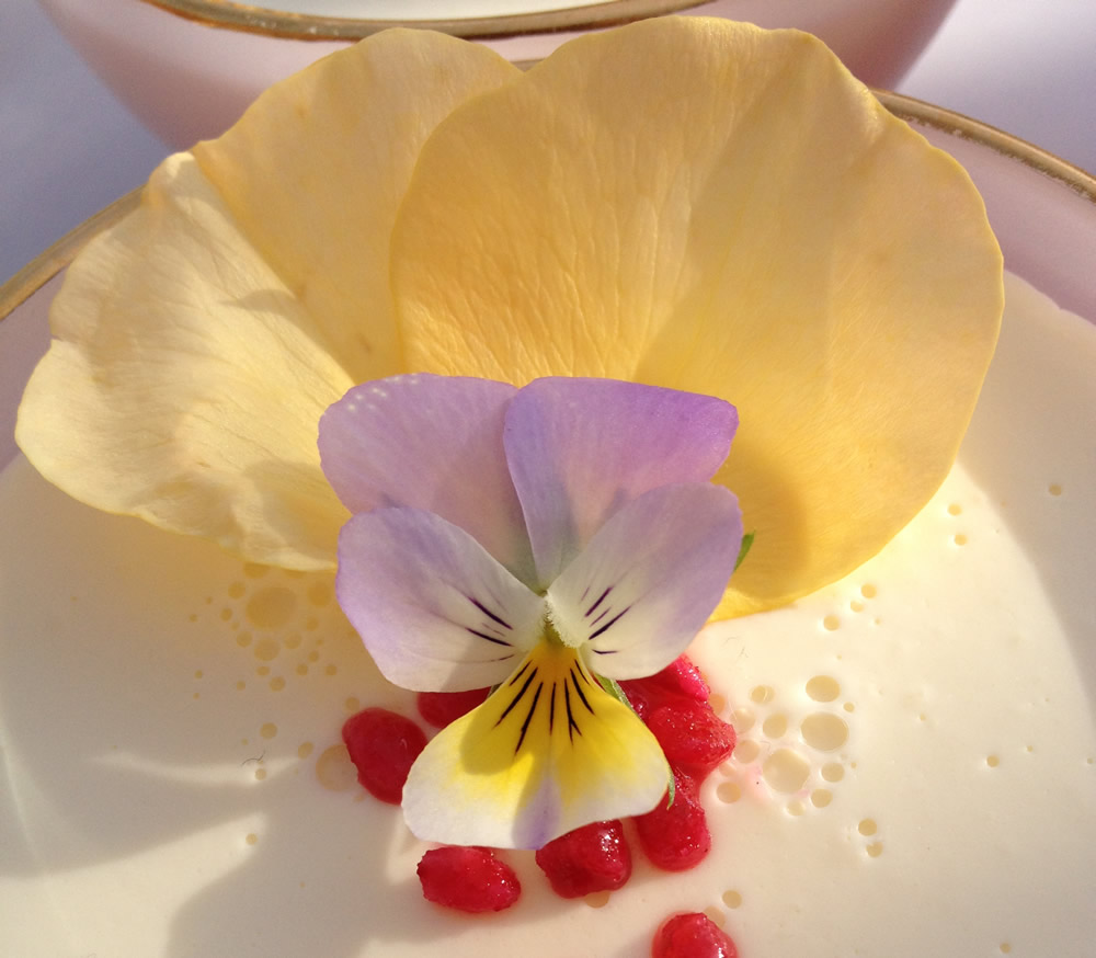 Edible rose petals and violas with panna cotta
