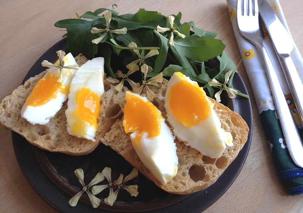 Rocket leaves and edible rocket flowers dish