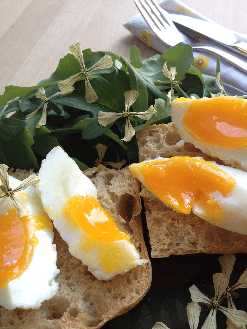 Brunch with edible rocket flowers