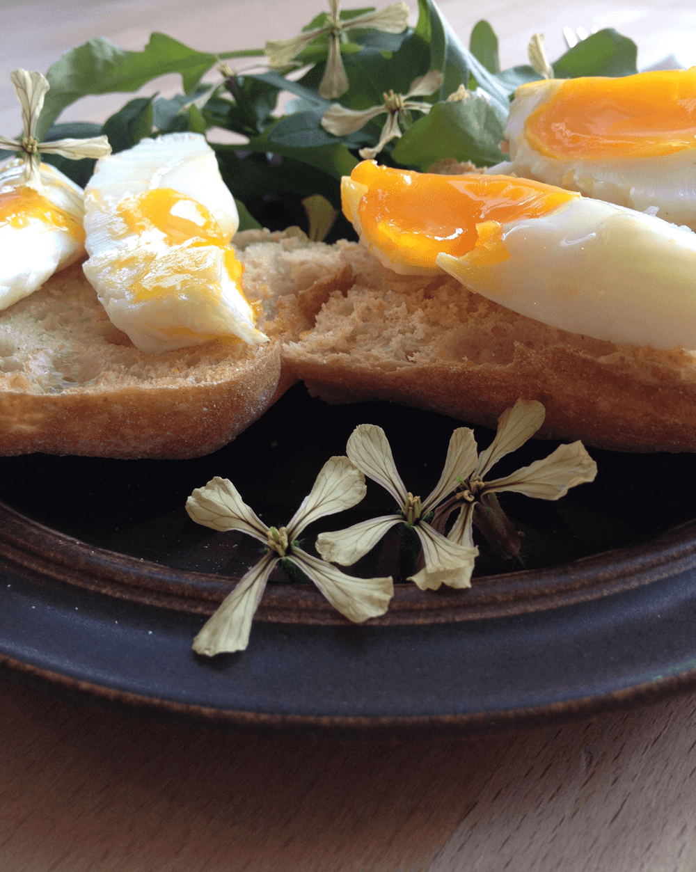 Rocket edible flower with eggs for brunch
