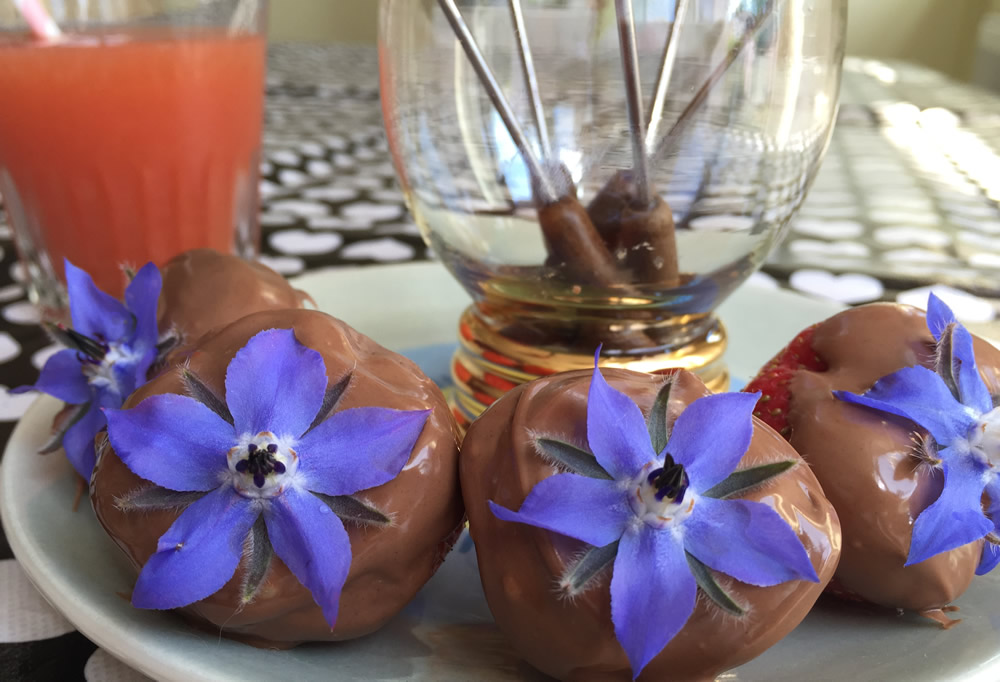 Edible flowers from the borage plant with strawberries