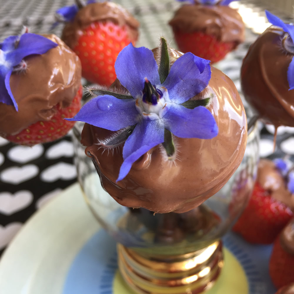 Chocolate dipped strawberries with edible borage flowers